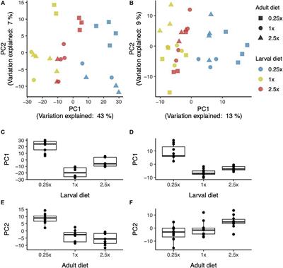 The Transcriptome in Transition: Global Gene Expression Profiles of Young Adult Fruit Flies Depend More Strongly on Developmental Than Adult Diet